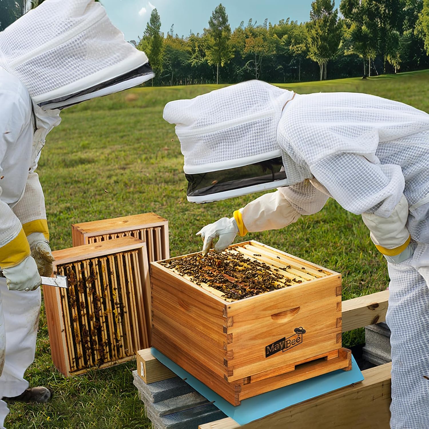 Kit de Caixas de Abelhas de 8  - Beehive Frame Wax avaliação e preço