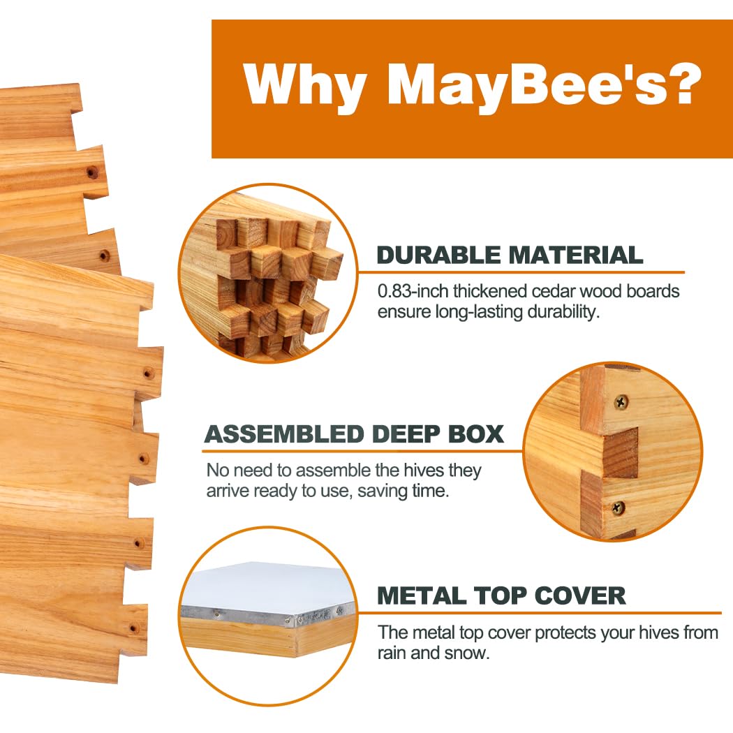 Kit de Caixas de Abelhas de 8  - Beehive Frame Wax avaliação e preço