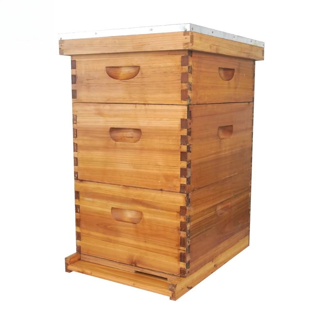 Colmeia Langstroth completa de - Beehive Frame Wax avaliação e preço