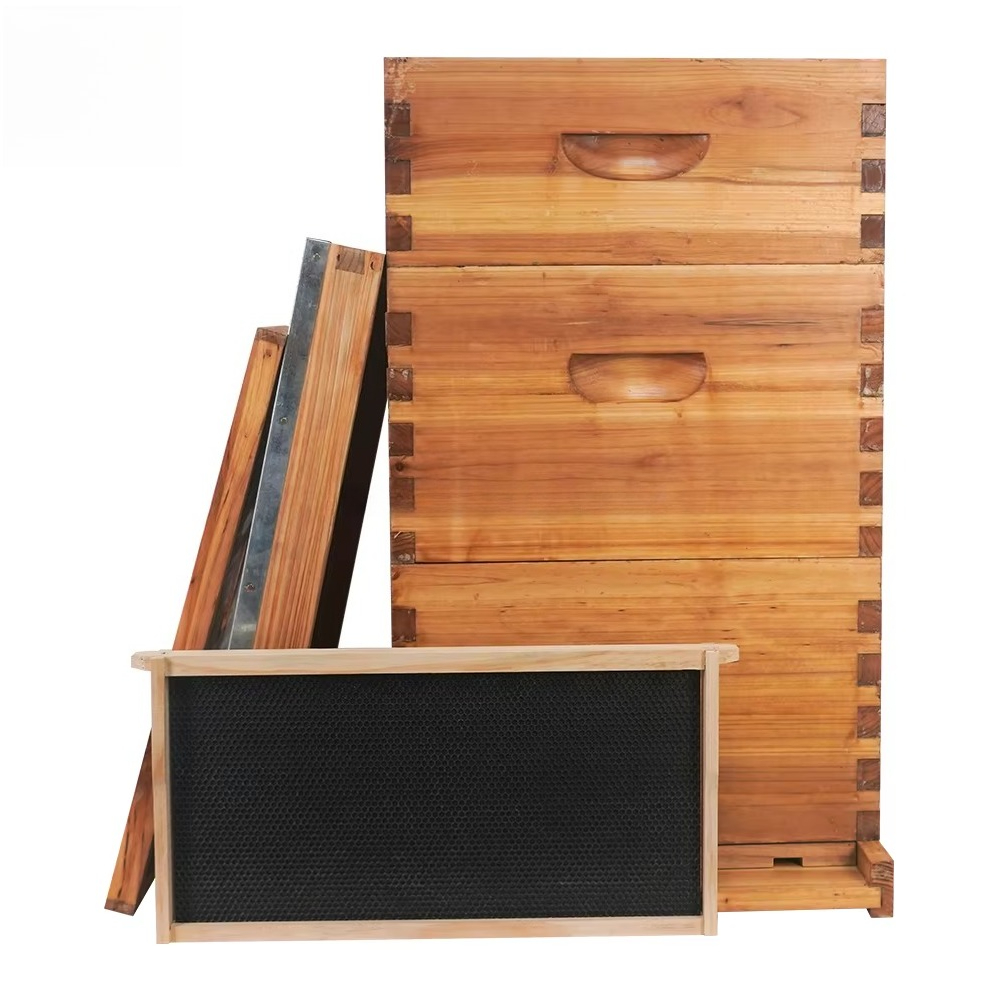Colmeia Langstroth completa de - Beehive Frame Wax avaliação e preço